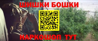хмурый Камышлов